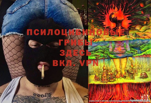 трава Абаза