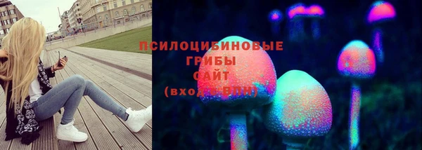 трава Абаза