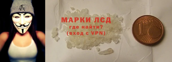 ГАЛЛЮЦИНОГЕННЫЕ ГРИБЫ Корсаков