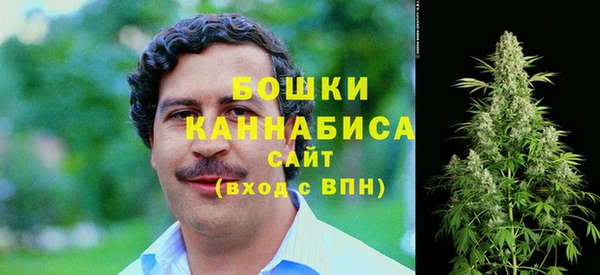 PSILOCYBIN Абинск